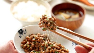 Natto, Makanan Khas Jepang yang Unik dan Bergizi