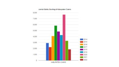 DATA Jumlah Balita Stunting di Kabupaten Ciamis (2014-2022)