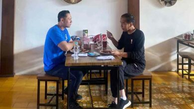 Pertemuan AHY dan Jokowi di Yogyakarta Hapus Anggapan Demokrat Kurang Berharga