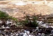 Warga Ciamis Tergerak Bersihkan Sampah Plastik Luapan Sungai Citanduy